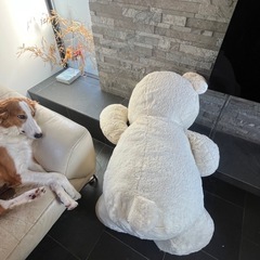 身長150cmの巨大しろくまさん中年の画像