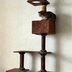 キャットタワーの画像