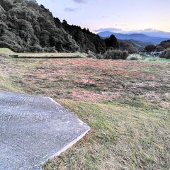 №E861【静岡県伊豆市】土地（農地・田）あげます！譲りま…