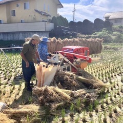 【安心なお米】2025年産 幻の「子ども・孫専用ハゼかけ米」コシヒカリ の画像