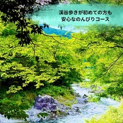 【11/9(日)】紅葉🍁森林浴＆ヨガ【大人遠足ランチ付】の画像