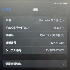 iPad mini 第6世代256GBの画像