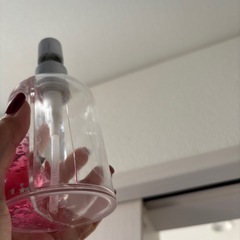 クロミ  の画像