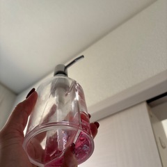 クロミ  の画像