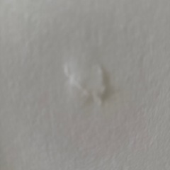 折りたたみ式パーティションの画像