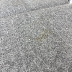 電気カーペット　ホットカーペットの画像