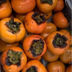 早い者勝ち‼️無農薬　新鮮　次郎柿　7個〜　個数コメント下さい！の画像