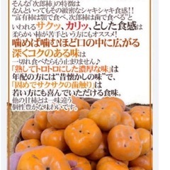 早い者勝ち‼️無農薬　新鮮　次郎柿　7個〜　個数コメント下さい！の画像