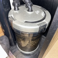 海水魚飼育セット1式  水槽台も！の画像