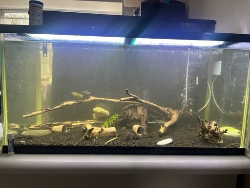 90センチ水槽セットお魚も一緒に