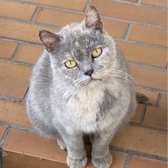 【決まりました】とても賢い子です(^^)