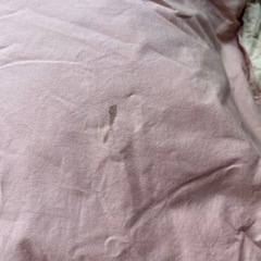 引き渡し予定者が決まりました。羽毛布団　シングルサイズの画像