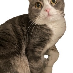 読書会11月に開催します！気軽に来てください✌️