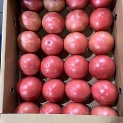 早生ふじりんご小玉1個の画像