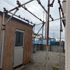 一時締切　０円単管パイプ各種の画像