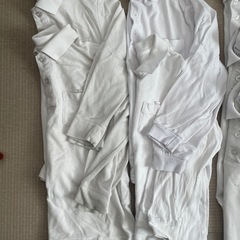 【相談中】小学生ポロシャツ7枚セットの画像