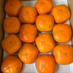 早生ふじりんご小玉1個の画像