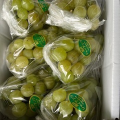 早生ふじりんご小玉1個の画像