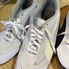 プーマ フットサルシューズ すぱいくスパイクの画像