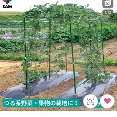 ダイム　空中栽培 つる棚セット2セット《畑から分解して持っていって欲しい 》の画像