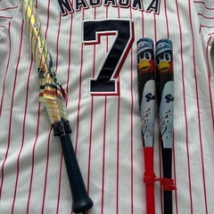 ヤクルト応援グッズ3点セットの画像