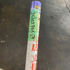 未使用　大直 巾広丈長障子紙 巾135cm×長さ430cm(2枚分) 大判 幅広 大きいサイズ 一枚貼り 日本製 雲竜 HT-103の画像