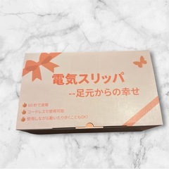 【新品未使用】電気スリッパ フットウォーマー 足温器 コードレス 電気足温器 足元ヒーターの画像
