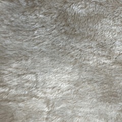 ラグ　カーペットの画像