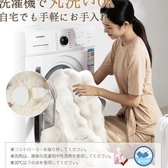 ふわもこラビット調電気毛布130×190cm　の画像