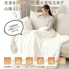 ふわもこラビット調電気毛布130×190cm　の画像