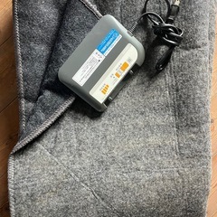 電気カーペット&カバーラグの画像