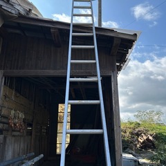 一連ハシゴ
の画像