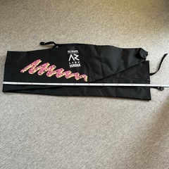 スキーケースの画像