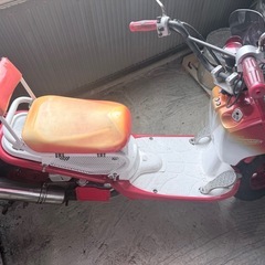 ホンダ 
ズーマーの画像