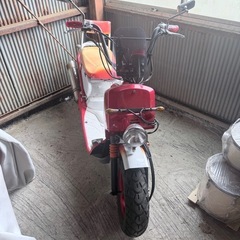 ホンダ 
ズーマーの画像