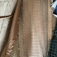 ゴザ　畳表　農作業用の画像