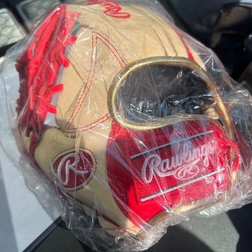 硬式大人トレーニンググローブ