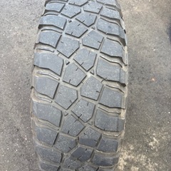 マーテルギア•モンスターの画像