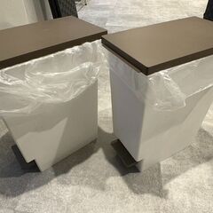 【※10月31日受付終了】スリムペダルゴミ箱 20L 2点セットの画像