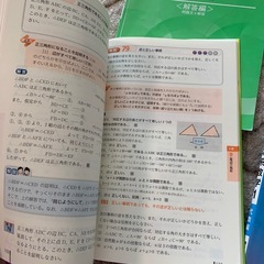 中高一貫　体系数学　幾何　代数　の画像