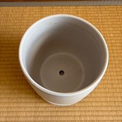 お渡し決まりました　植木鉢　陶器　6号　観葉植物に　の画像