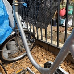 三輪車　大人用の画像