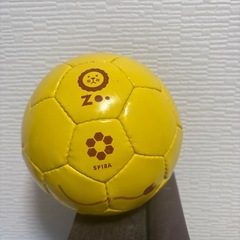 ライオンの小さいボールの画像