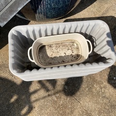 プランター　鉢　花の画像