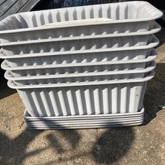 プランター　鉢　花の画像