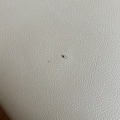 ベンチシートの画像