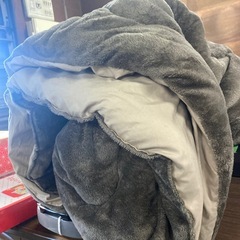 こたつの画像