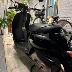 ホンダaf61 トゥデイ実働50cc原付大阪より配達可能バッテリー新品