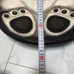 ソリの画像