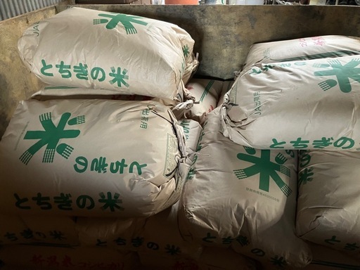 令和7年度産　ハツシモ　玄米30キロ　1等米級　減農薬　有機肥料　まとめ買い応相談にのります。 令和7年度産 新米ハツシモ 玄米30キロ 1等米級 減農薬 有機肥料の通販